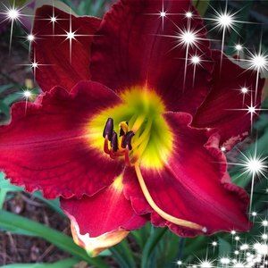 Meet your Posher, Cathy